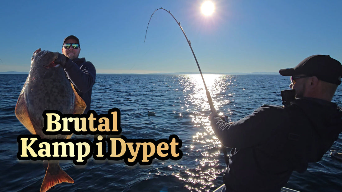 Fiske etter Kveite med stang