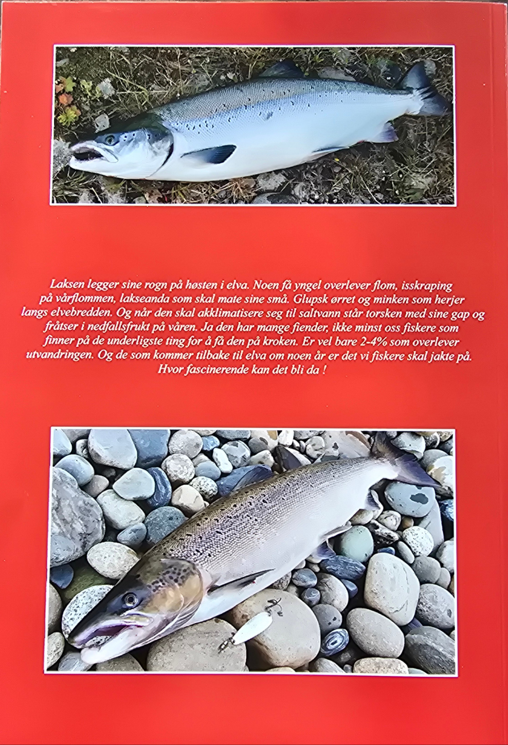 Mitt Liv i Gaula, del 2. Bok av Tor Stræte, Silverfox.